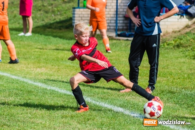 Zdjęcie w galerii na portalu naszwodzislaw.com: Orliki młodsze: Mendel goli w starciu Rafako z AP United Rydułtowy wiadomości z regionu