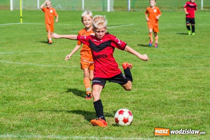 Zdjęcie w galerii na portalu naszwodzislaw.com: Orliki młodsze: Mendel goli w starciu Rafako z AP United Rydułtowy wiadomości z regionu