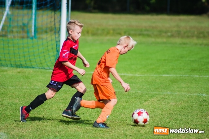 Zdjęcie w galerii na portalu naszwodzislaw.com: Orliki młodsze: Mendel goli w starciu Rafako z AP United Rydułtowy wiadomości z regionu