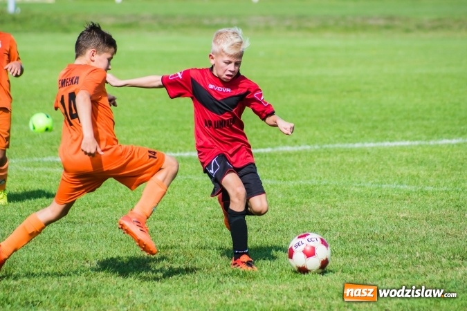 Zdjęcie w galerii na portalu naszwodzislaw.com: Orliki młodsze: Mendel goli w starciu Rafako z AP United Rydułtowy wiadomości z regionu