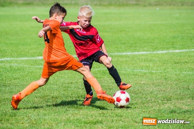 Zdjęcie w galerii na portalu naszwodzislaw.com: Orliki młodsze: Mendel goli w starciu Rafako z AP United Rydułtowy wiadomości z regionu