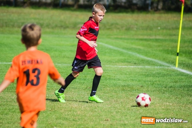 Zdjęcie w galerii na portalu naszwodzislaw.com: Orliki młodsze: Mendel goli w starciu Rafako z AP United Rydułtowy wiadomości z regionu