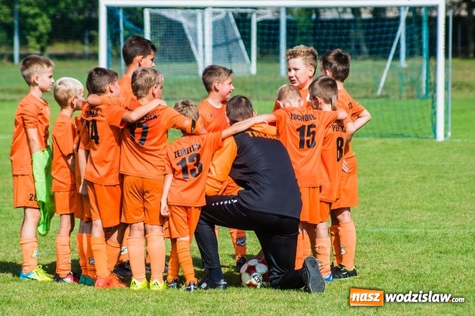 Zdjęcie w galerii na portalu naszwodzislaw.com: Orliki młodsze: Mendel goli w starciu Rafako z AP United Rydułtowy wiadomości z regionu