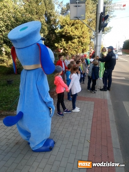 Zdjęcie w galerii na portalu naszwodzislaw.com: Dzielnicowi i Sznupek uczyli dzieci zasad bezpiecznego przechodzenia przez jezdnię wiadomości z regionu