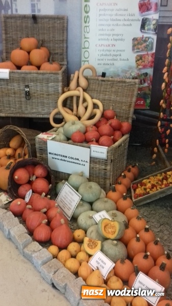 Zdjęcie w galerii na portalu naszwodzislaw.com: Kuchnia na medal, czyli srebro i brąz uczniów wodzisławskiego ZSE w konkursie gastronomicznym w Czechach wiadomości z regionu