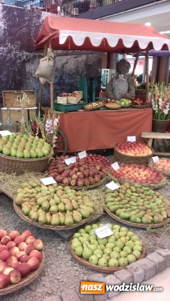 Zdjęcie w galerii na portalu naszwodzislaw.com: Kuchnia na medal, czyli srebro i brąz uczniów wodzisławskiego ZSE w konkursie gastronomicznym w Czechach wiadomości z regionu