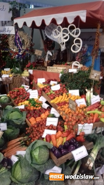 Zdjęcie w galerii na portalu naszwodzislaw.com: Kuchnia na medal, czyli srebro i brąz uczniów wodzisławskiego ZSE w konkursie gastronomicznym w Czechach wiadomości z regionu