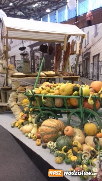 Zdjęcie w galerii na portalu naszwodzislaw.com: Kuchnia na medal, czyli srebro i brąz uczniów wodzisławskiego ZSE w konkursie gastronomicznym w Czechach wiadomości z regionu