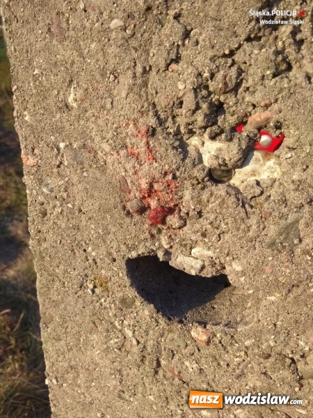 Zdjęcie w galerii na portalu naszwodzislaw.com: Jechał motocyklem bez kasku. Zatrzymał się na słupie wiadomości z regionu