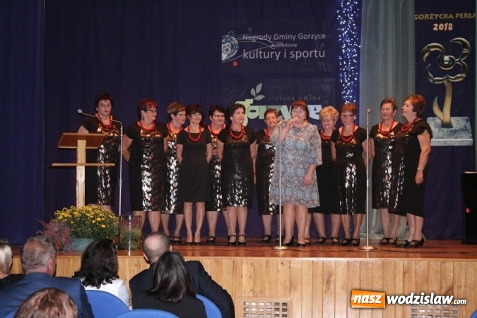 Zdjęcie w galerii na portalu naszwodzislaw.com: Gorzycka Perła. Uroczysta gala w DPS Gorzyce wiadomości z regionu