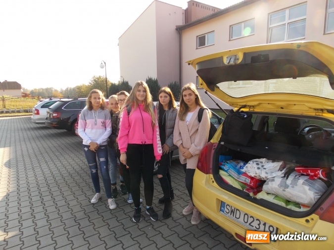 Zdjęcie w galerii na portalu naszwodzislaw.com: Miłość do ludzi zaczyna się od miłości do zwierząt… wiadomości z regionu