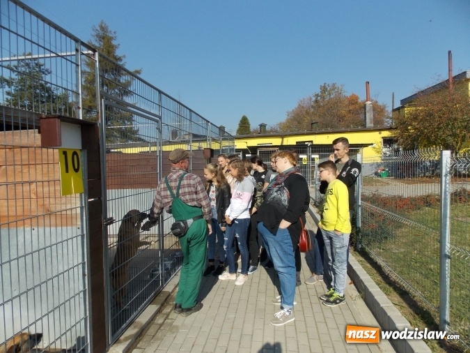 Zdjęcie w galerii na portalu naszwodzislaw.com: Miłość do ludzi zaczyna się od miłości do zwierząt… wiadomości z regionu