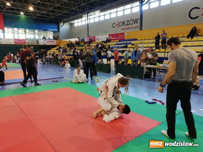 Zdjęcie w galerii na portalu naszwodzislaw.com: Medale Octagon Team Junior na turnieju BJJ w Chorzowie wiadomości z regionu