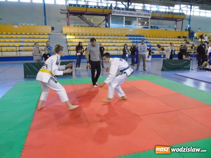 Zdjęcie w galerii na portalu naszwodzislaw.com: Medale Octagon Team Junior na turnieju BJJ w Chorzowie wiadomości z regionu