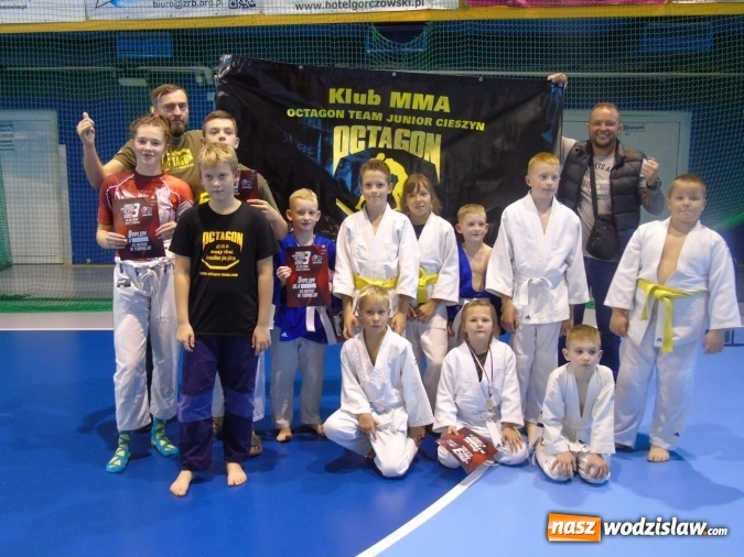 Zdjęcie w galerii na portalu naszwodzislaw.com: Medale Octagon Team Junior na turnieju BJJ w Chorzowie wiadomości z regionu