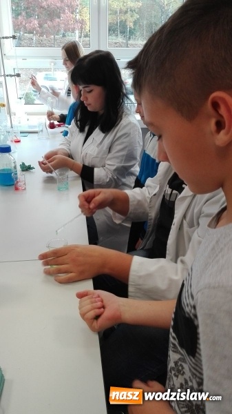 Zdjęcie w galerii na portalu naszwodzislaw.com: Młodzi pasjonaci nauki i techniki wiadomości z regionu