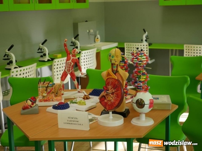 Zdjęcie w galerii na portalu naszwodzislaw.com: W wodzisławskiej SP 10 otwarto Zieloną Pracownię wiadomości z regionu