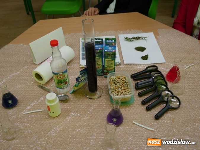 Zdjęcie w galerii na portalu naszwodzislaw.com: W wodzisławskiej SP 10 otwarto Zieloną Pracownię wiadomości z regionu