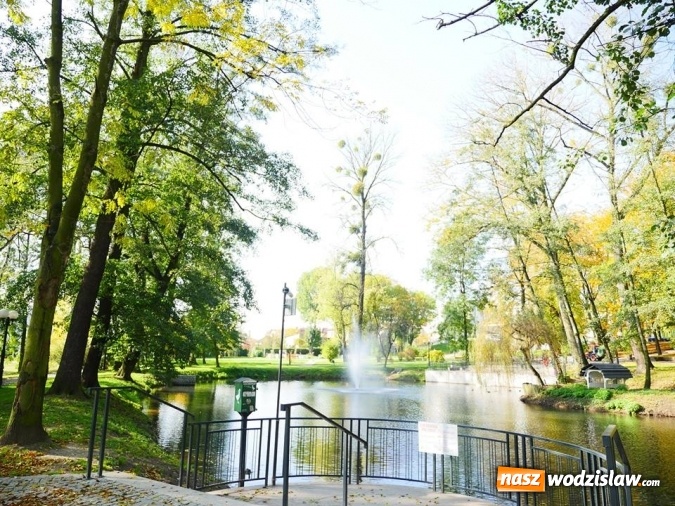 Zdjęcie w galerii na portalu naszwodzislaw.com: Co zmieniło się w parku miejskim na przestrzeni lat? wiadomości z regionu