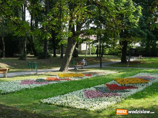 Zdjęcie w galerii na portalu naszwodzislaw.com: Co zmieniło się w parku miejskim na przestrzeni lat? wiadomości z regionu