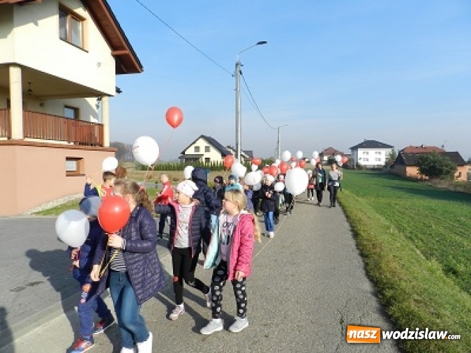 Zdjęcie w galerii na portalu naszwodzislaw.com: Szkoła Podstawowa w Połomi świętowała stulecie odzyskania niepodległości konkursami i marszem wiadomości z regionu