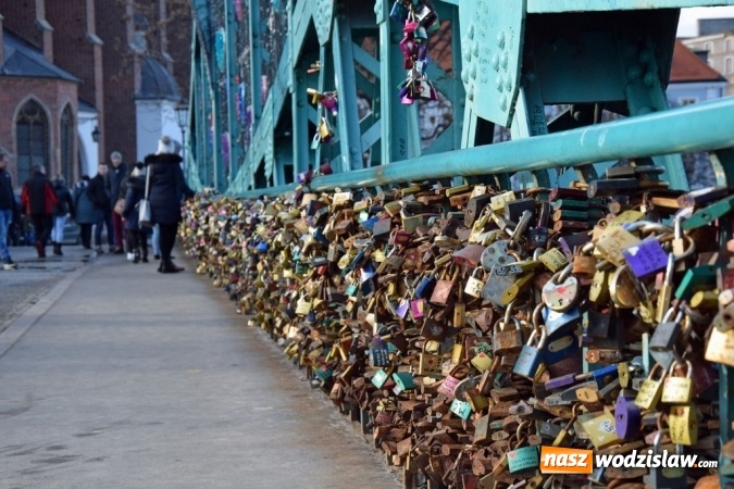 Zdjęcie w galerii na portalu naszwodzislaw.com: Jarmark Bożonarodzeniowy i zwiedzanie Wrocławia z GOKiR Mszana wiadomości z regionu