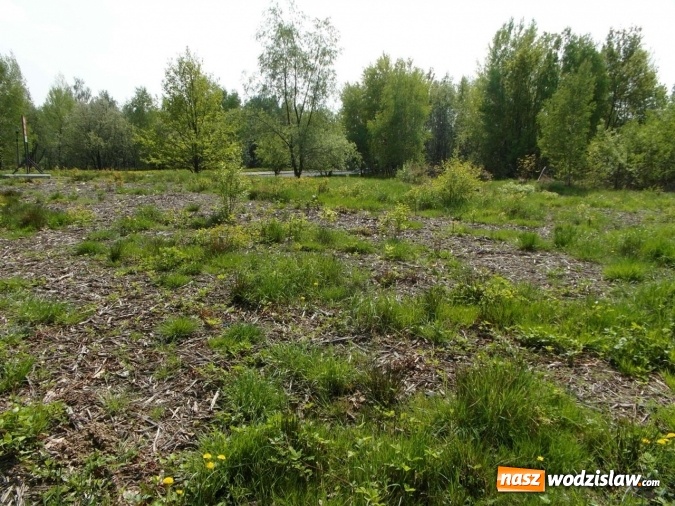 Zdjęcie w galerii na portalu naszwodzislaw.com: Trzeci przetarg na sprzedaż nieruchomości gruntowych przy ulicy Mieszka wiadomości z regionu