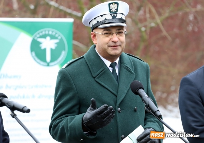 Zdjęcie w galerii na portalu naszwodzislaw.com: Na śląskich drogach pojawił się zielony TRANSFORMERS wiadomości z regionu