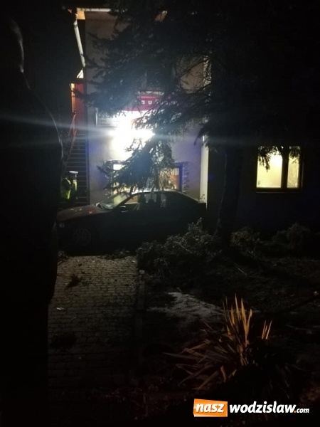 Zdjęcie w galerii na portalu naszwodzislaw.com: Na zakręcie wypadł z drogi i wjechał w piekarnię wiadomości z regionu