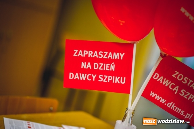 Zdjęcie w galerii na portalu naszwodzislaw.com: Charytatywny maraton fitness w Rogowie  wiadomości z regionu