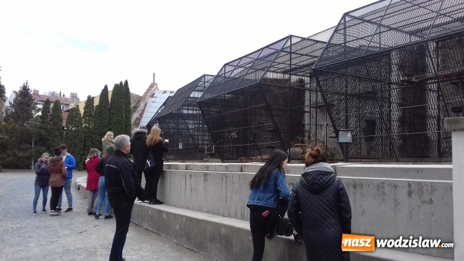 Zdjęcie w galerii na portalu naszwodzislaw.com: Jak smakuje sukces? Wiedzą to uczniowie wodzisławskiego Ekonomika wiadomości z regionu