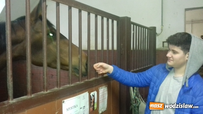 Zdjęcie w galerii na portalu naszwodzislaw.com: Jak smakuje sukces? Wiedzą to uczniowie wodzisławskiego Ekonomika wiadomości z regionu