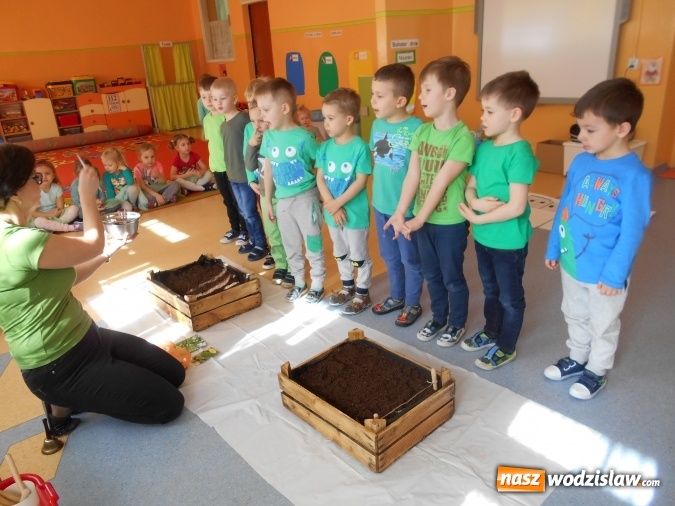 Zdjęcie w galerii na portalu naszwodzislaw.com: Wiosenna przyroda woła małego ekologa wiadomości z regionu