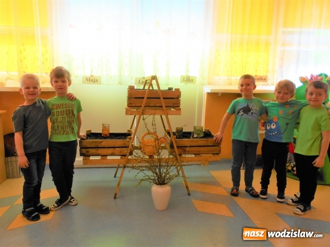 Zdjęcie w galerii na portalu naszwodzislaw.com: Wiosenna przyroda woła małego ekologa wiadomości z regionu