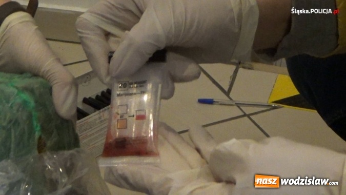Zdjęcie w galerii na portalu naszwodzislaw.com: Śląska policja uderzyła w gangi pseudokibiców. W tle narkotyki [FOTO i WIDEO] wiadomości z regionu