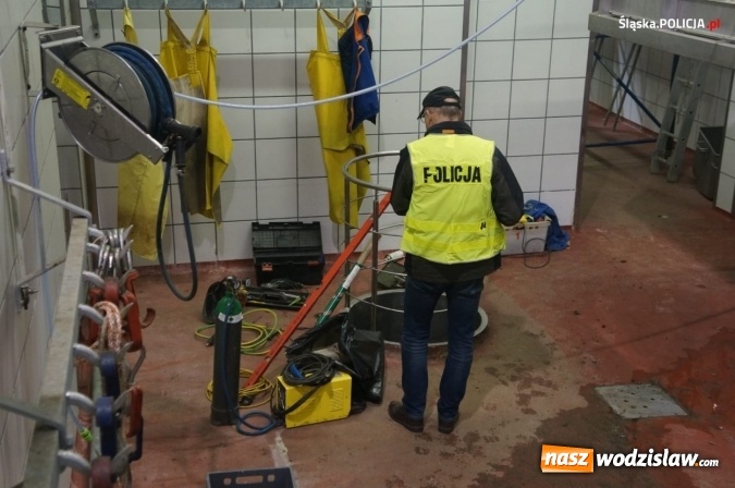 Zdjęcie w galerii na portalu naszwodzislaw.com: Nie ma zgody na niehumanitarne traktowanie zwierząt! wiadomości z regionu