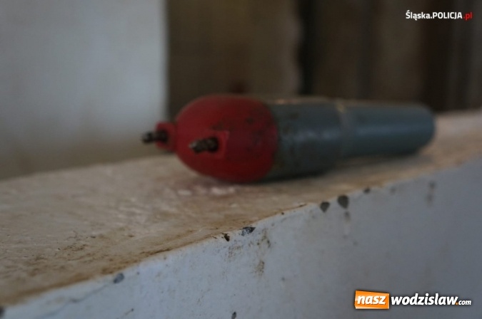 Zdjęcie w galerii na portalu naszwodzislaw.com: Nie ma zgody na niehumanitarne traktowanie zwierząt! wiadomości z regionu