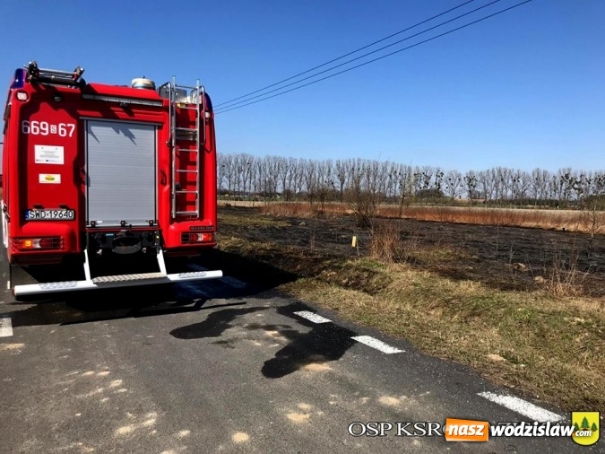 Zdjęcie w galerii na portalu naszwodzislaw.com: Pożar trawy obok autostrady A1 w Turzy Śląskiej wiadomości z regionu