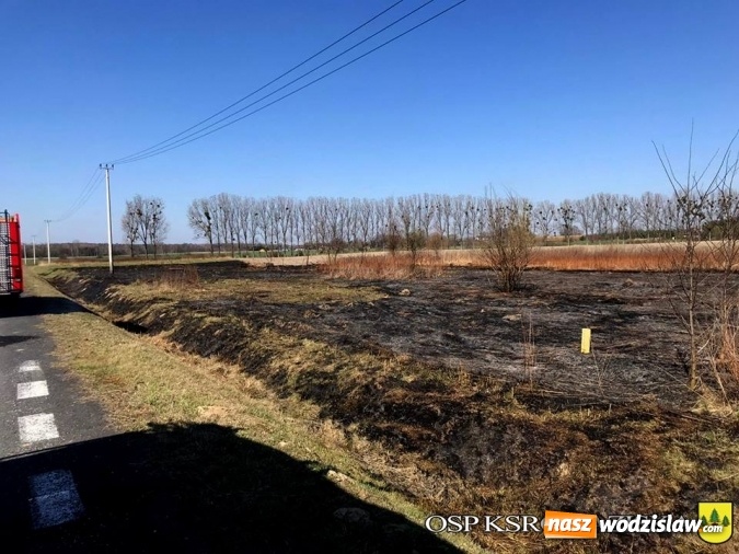 Zdjęcie w galerii na portalu naszwodzislaw.com: Pożar trawy obok autostrady A1 w Turzy Śląskiej wiadomości z regionu