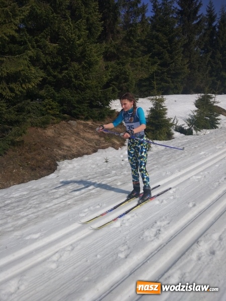 Zdjęcie w galerii na portalu naszwodzislaw.com: Sukcesy zawodników KS Ski Team Wodzisław Śląski w Jakuszycach wiadomości z regionu
