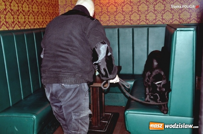 Zdjęcie w galerii na portalu naszwodzislaw.com: Śląski gang handlujący ludźmi rozbity! [FOTO i WIDEO] wiadomości z regionu