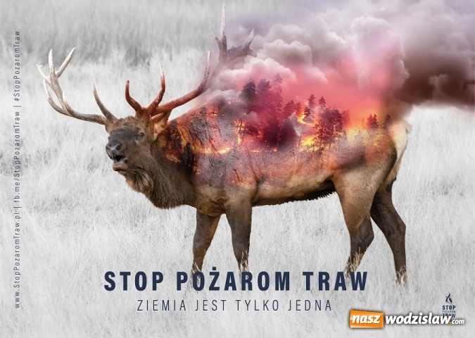 Zdjęcie w galerii na portalu naszwodzislaw.com: Wypalanie traw szkodzi, a nawet zabija! wiadomości z regionu