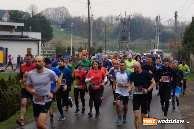 Zdjęcie w galerii na portalu naszwodzislaw.com: II Bieg po Święcelnik Wójta Gminy Mszana za nami wiadomości z regionu
