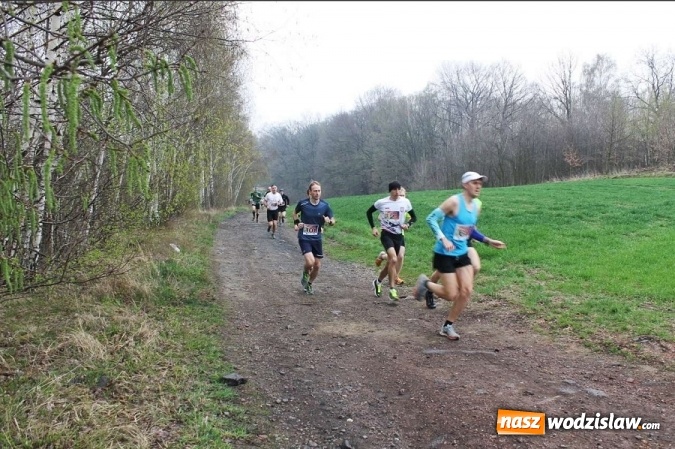 Zdjęcie w galerii na portalu naszwodzislaw.com: II Bieg po Święcelnik Wójta Gminy Mszana za nami wiadomości z regionu