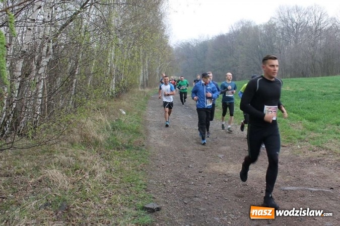 Zdjęcie w galerii na portalu naszwodzislaw.com: II Bieg po Święcelnik Wójta Gminy Mszana za nami wiadomości z regionu