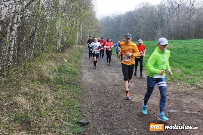 Zdjęcie w galerii na portalu naszwodzislaw.com: II Bieg po Święcelnik Wójta Gminy Mszana za nami wiadomości z regionu
