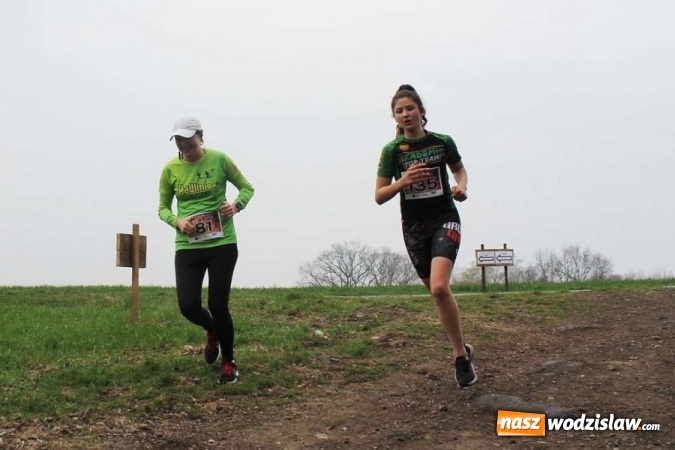 Zdjęcie w galerii na portalu naszwodzislaw.com: II Bieg po Święcelnik Wójta Gminy Mszana za nami wiadomości z regionu