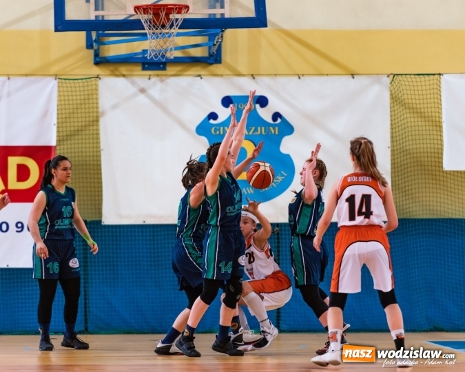 Zdjęcie w galerii na portalu naszwodzislaw.com: Awans drużyny młodziczek U14 Olimpii Wodzisław Śląski do półfinału mistrzostw Polski wiadomości z regionu