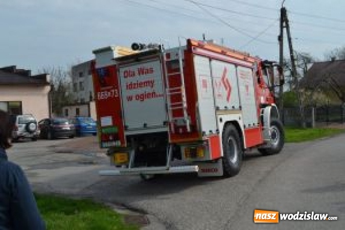 Zdjęcie w galerii na portalu naszwodzislaw.com: XVI Gminny Przegląd Palm Wielkanocnych wiadomości z regionu