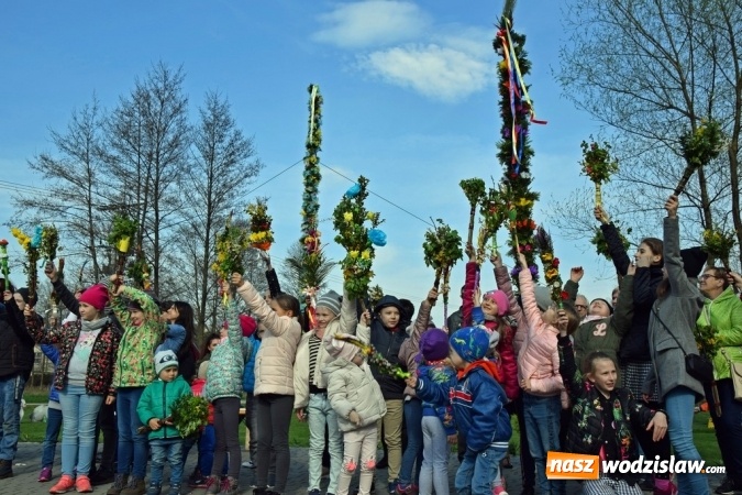 Zdjęcie w galerii na portalu naszwodzislaw.com: Festiwal Palmy w mszańskim parku za nami wiadomości z regionu